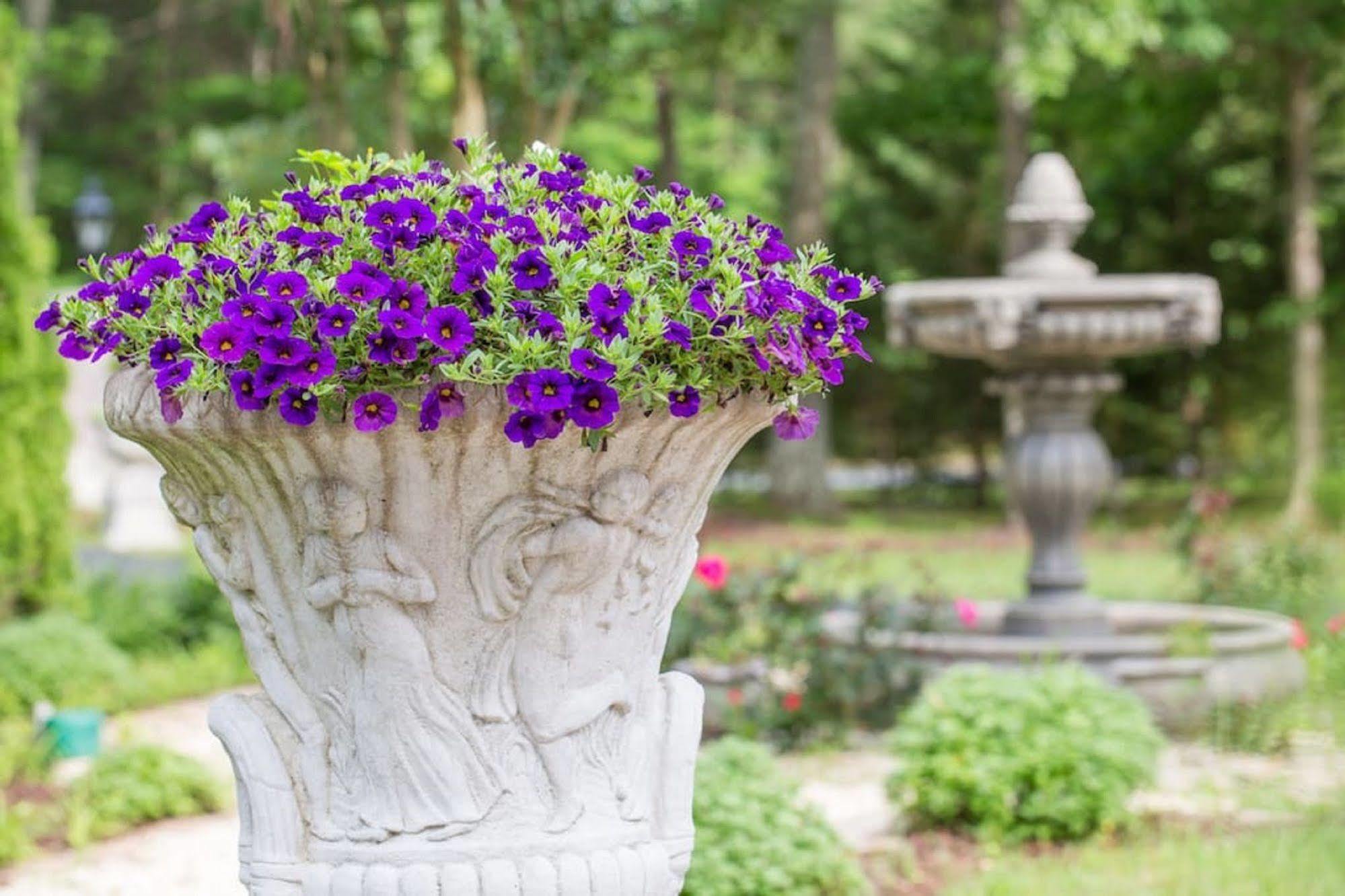 Rosewood Manor Bed & Breakfast Port Tobacco Exteriér fotografie